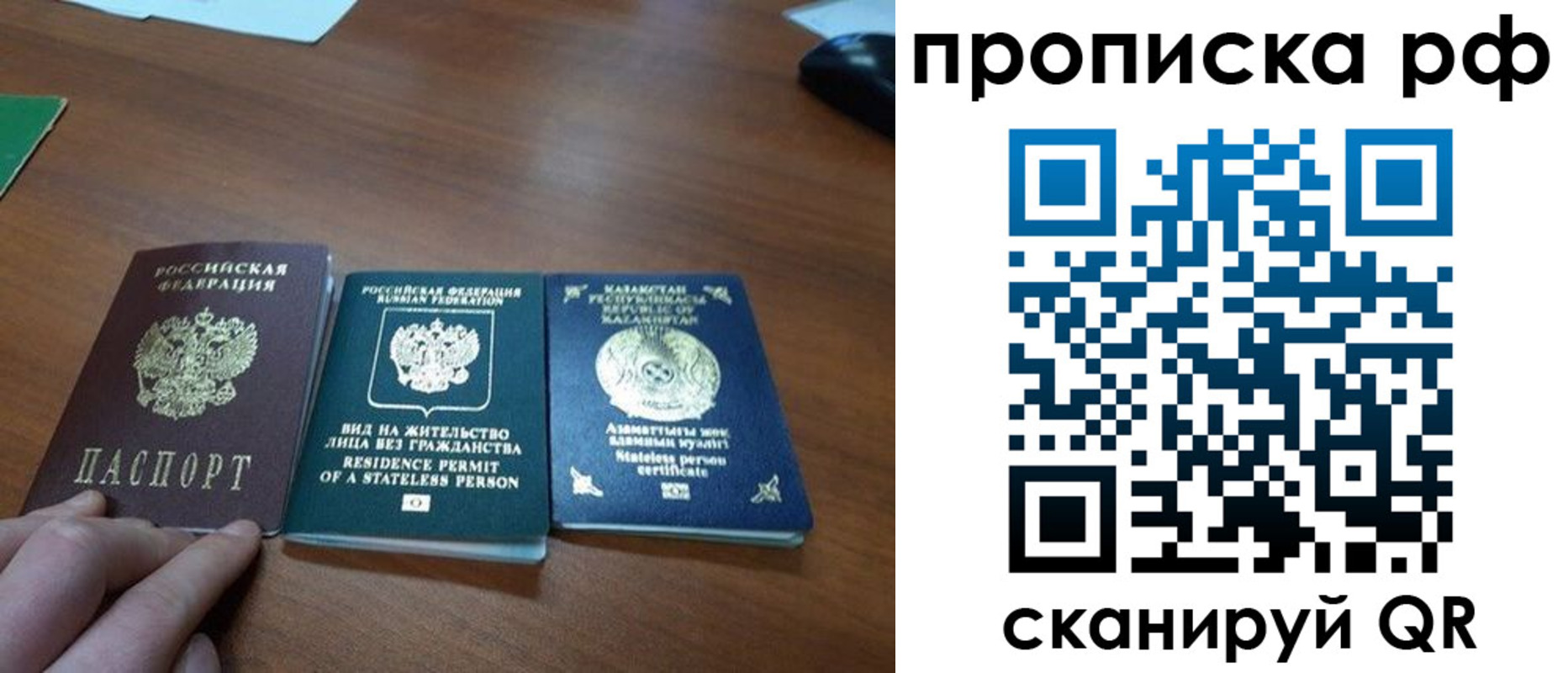 прописка поиск в Курской области