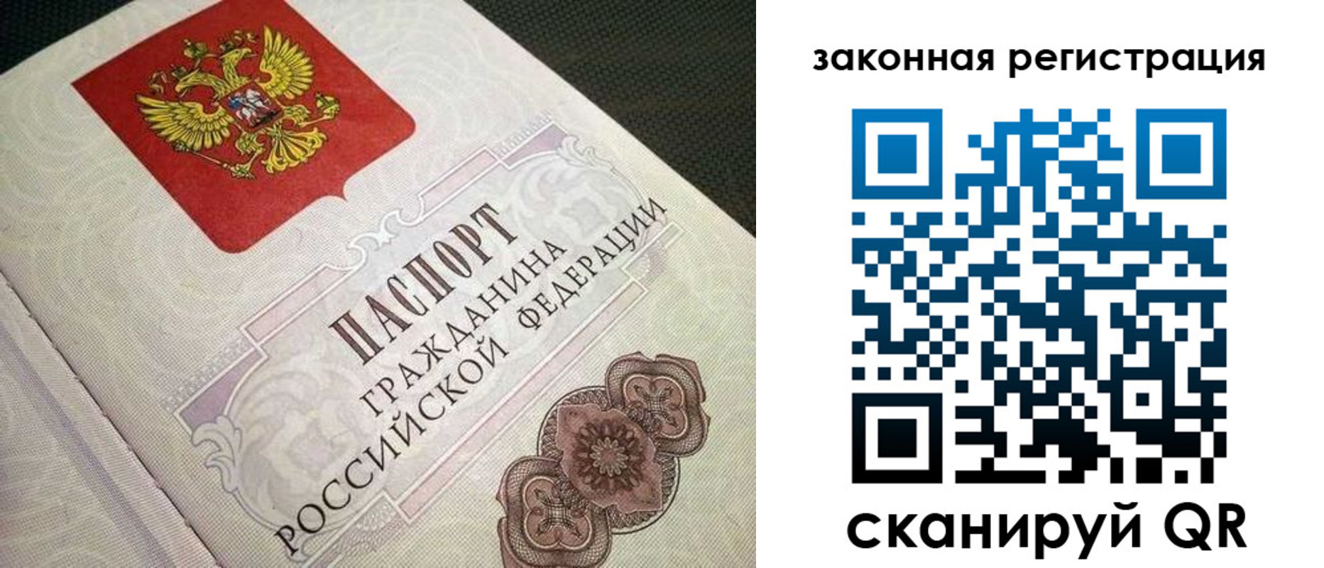 прописка в Курской области